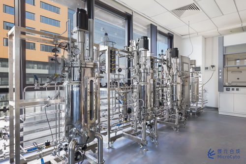 微元合成 獲億元pre a輪融資,多個生物制造產品即將進入量產 tech100獨家