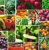 食藥監(jiān)總局 堅(jiān)持問題導(dǎo)向，加大食品農(nóng)獸藥殘留治理力度，保障食用農(nóng)產(chǎn)品安全