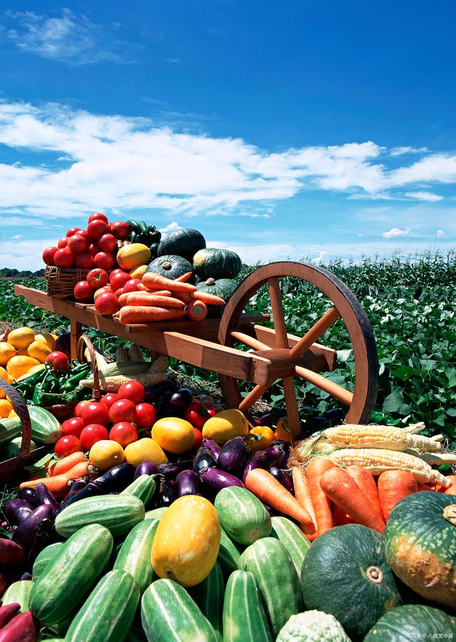 新規(guī)落地，守護(hù)舌尖安全——孫海山律師解讀《食用農(nóng)產(chǎn)品市場銷售質(zhì)量安全監(jiān)督管理辦法》