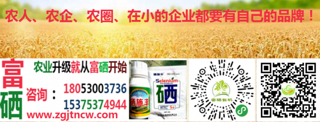 農(nóng)業(yè)農(nóng)村部實(shí)施新規(guī)，全國食用農(nóng)產(chǎn)品全面推行合格證制度